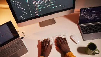 Web Developer