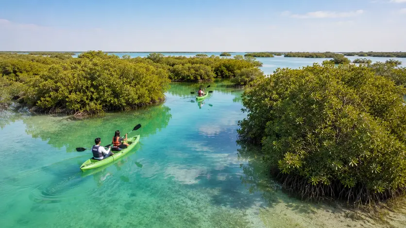 Kayaking through Al Thakira Mangroves, one of the best natural places to visit in Qatar